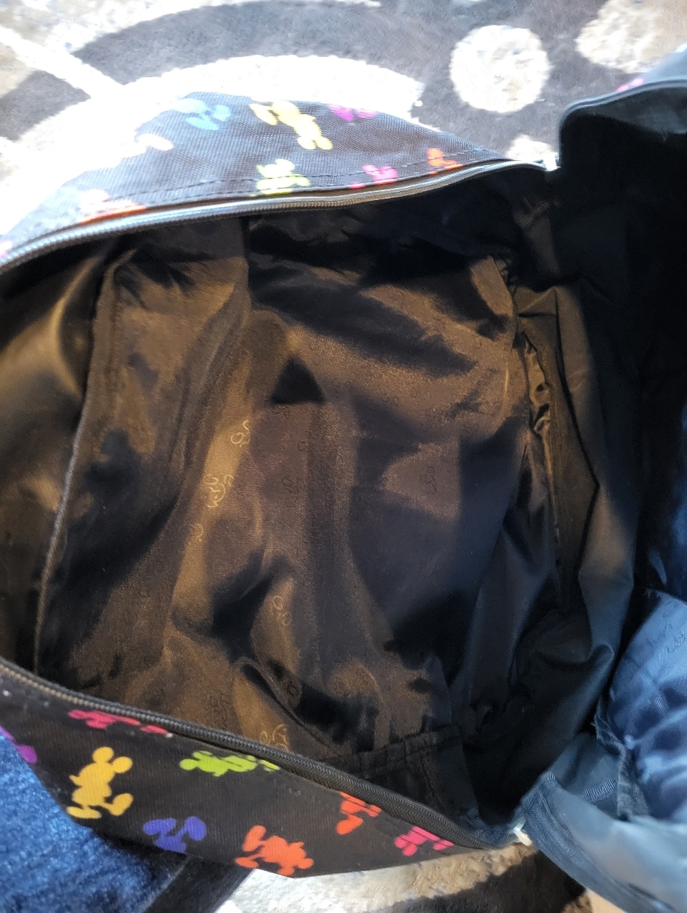 Disneyland Backpack - Picture 3 of 3